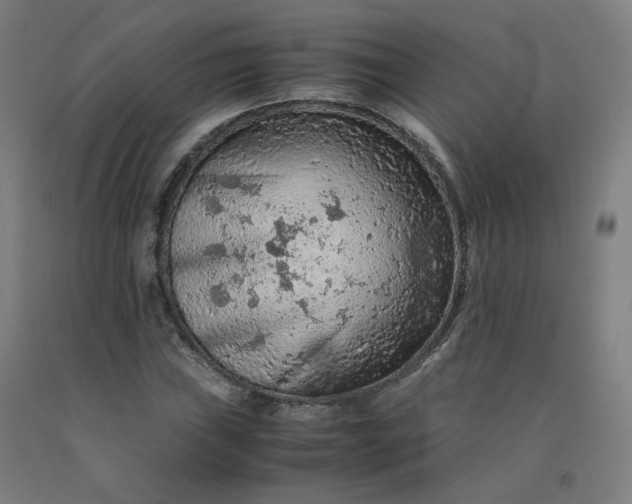 X0000092251019200709281140