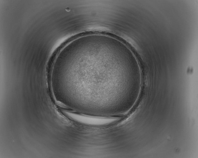 X0000092251022200709281140