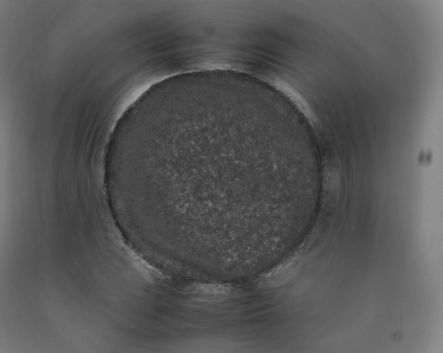 X0000092251023200709281140