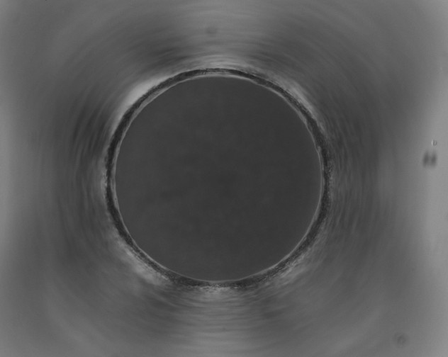 X0000092251024200709281140