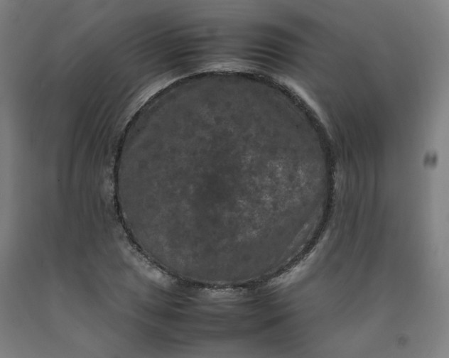 X0000092251025200709281140