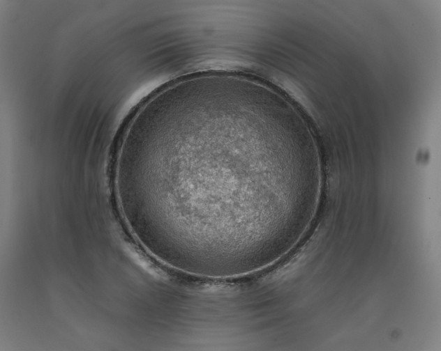 X0000092251026200709281140