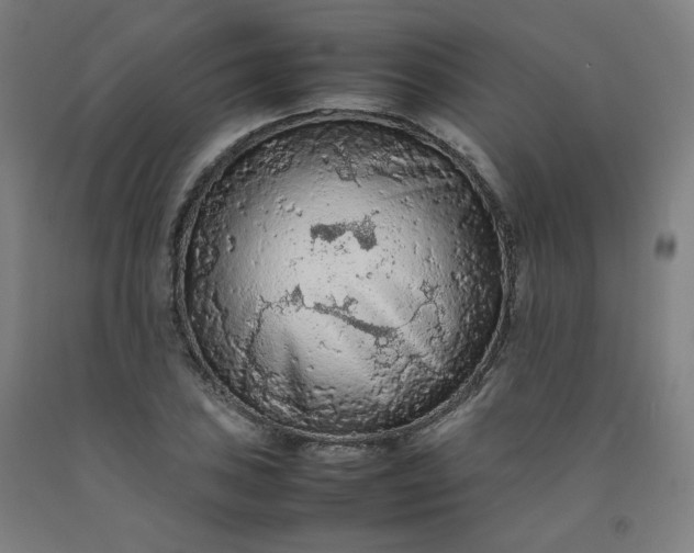 X0000092251027200709281140