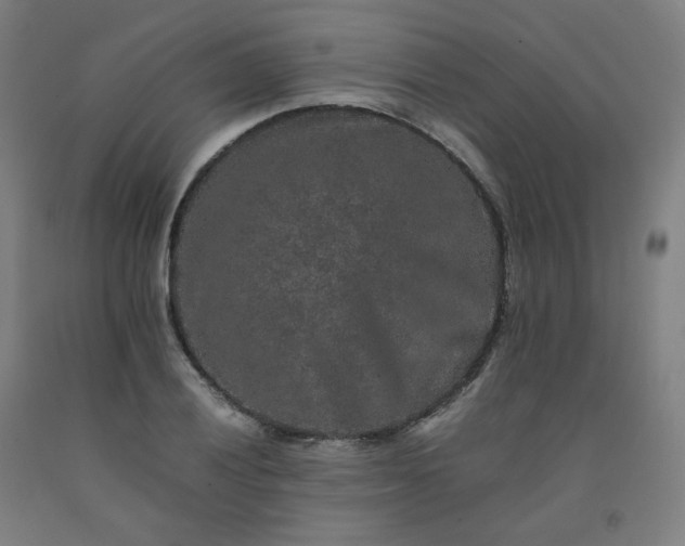 X0000092251028200709281140