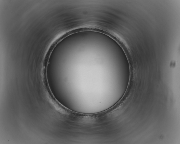 X0000092251029200709281140