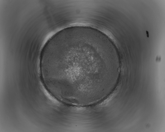 X0000092251030200709281140