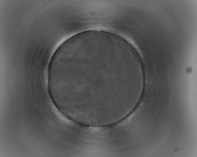 X0000092251032200709281140