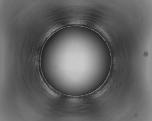 X0000092251033200709281140