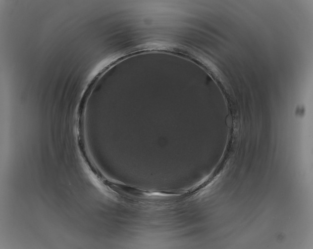 X0000092251034200709281140