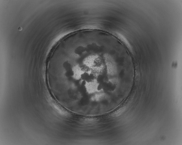 X0000092251035200709281140