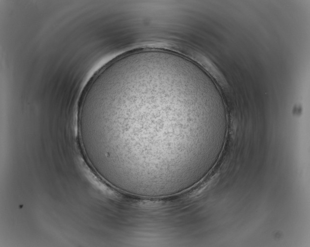 X0000092251036200709281140