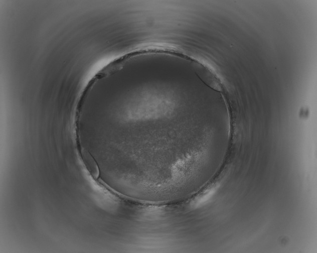 X0000092251038200709281140