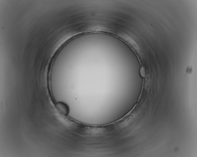 X0000092251039200709281140