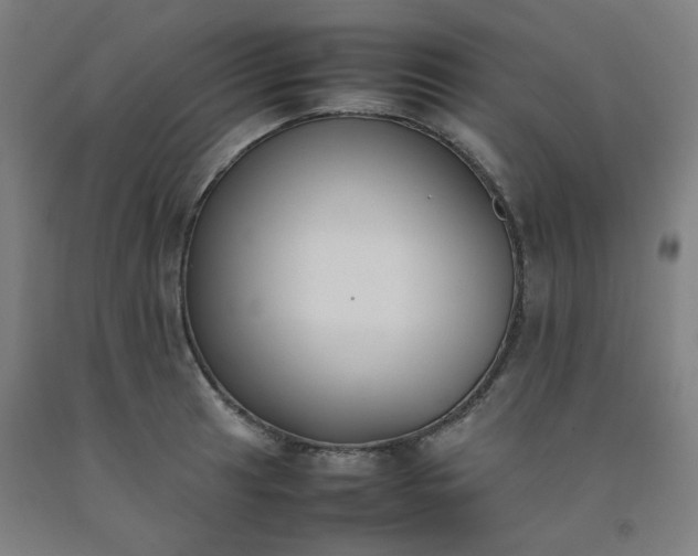 X0000092251041200709281140