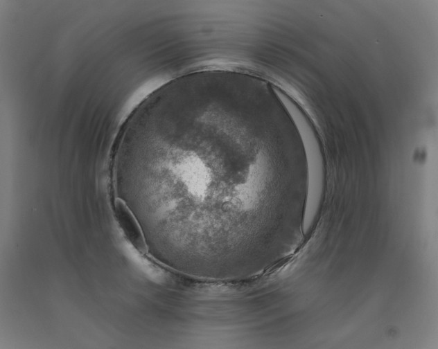 X0000092251042200709281140