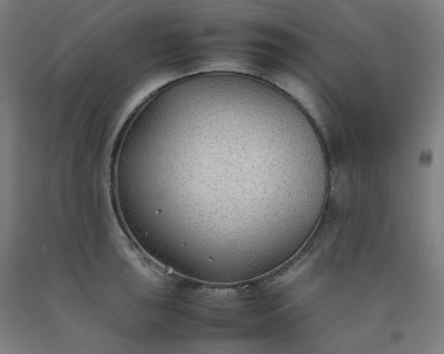 X0000092251043200709281140