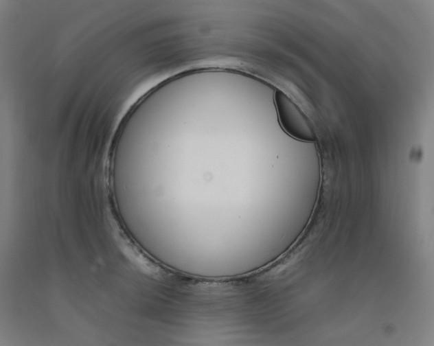 X0000092251044200709281140