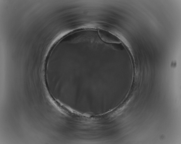 X0000092251045200709281140