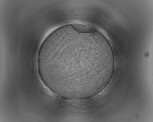 X0000092251048200709281140