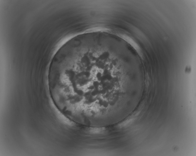 X0000092251055200709281140