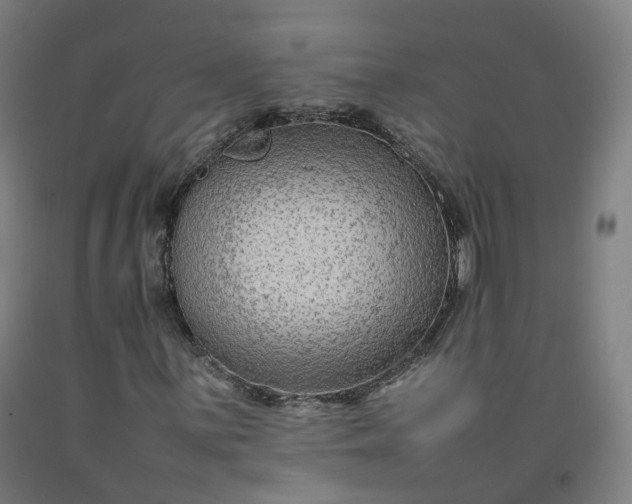 X0000092251059200709281139