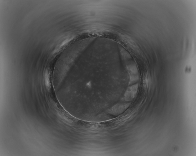 X0000092251060200709281139