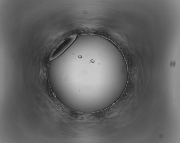 X0000092251061200709281139