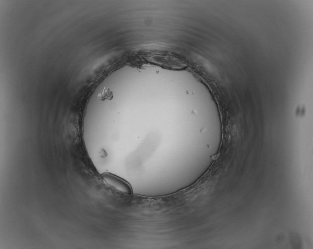 X0000092251062200709281139