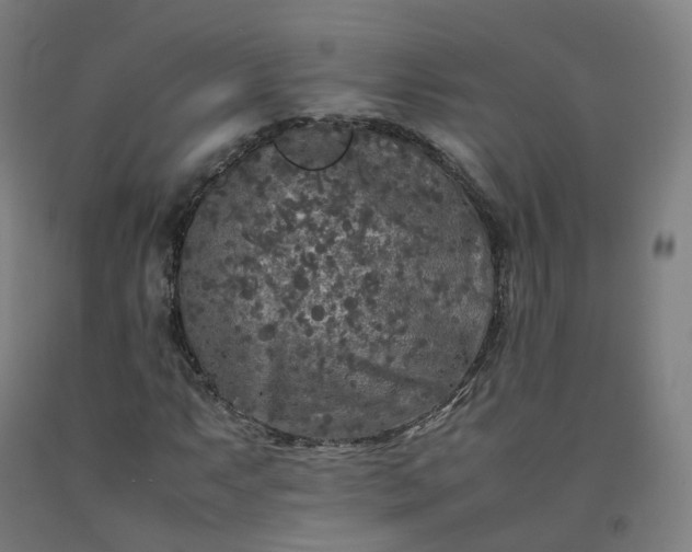 X0000092251063200709281139