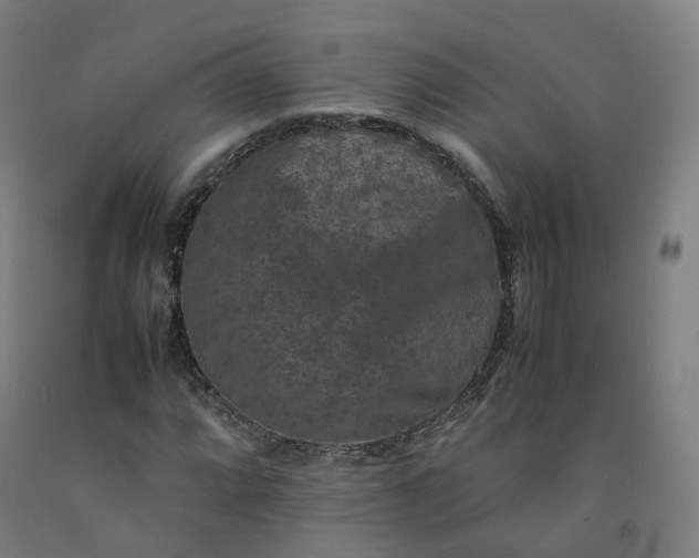 X0000092251064200709281139