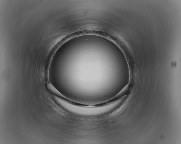 X0000092251065200709281139