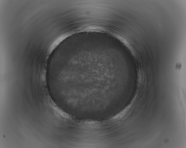 X0000092251066200709281139