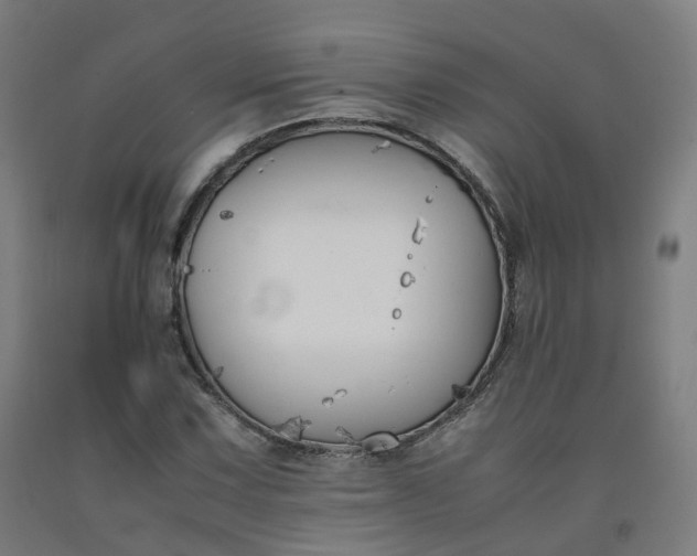 X0000092251067200709281139