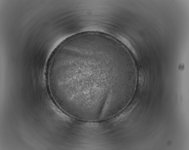 X0000092251068200709281139