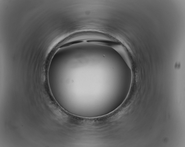 X0000092251069200709281139