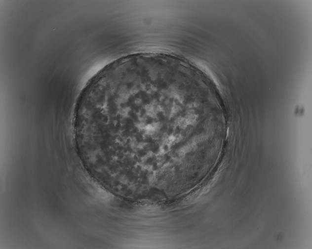 X0000092251071200709281139