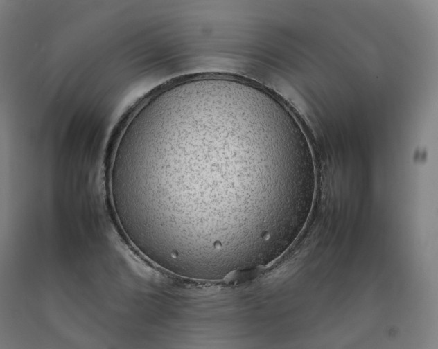 X0000092251072200709281139