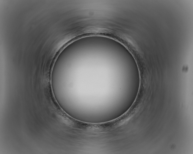 X0000092251073200709281139