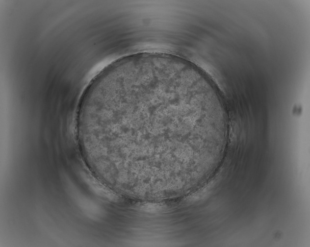 X0000092251074200709281139