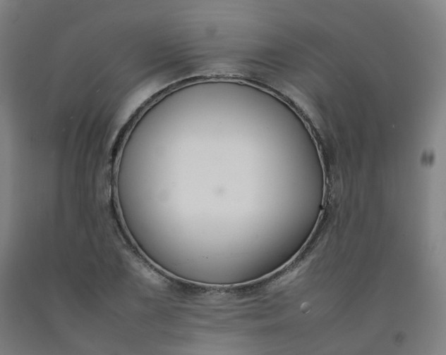 X0000092251075200709281139