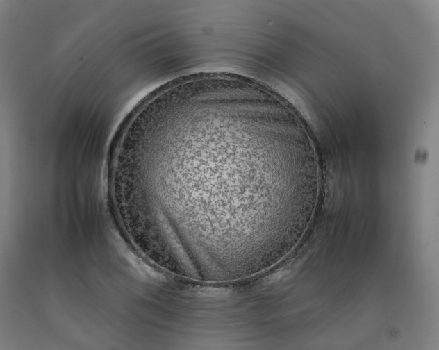 X0000092251076200709281139