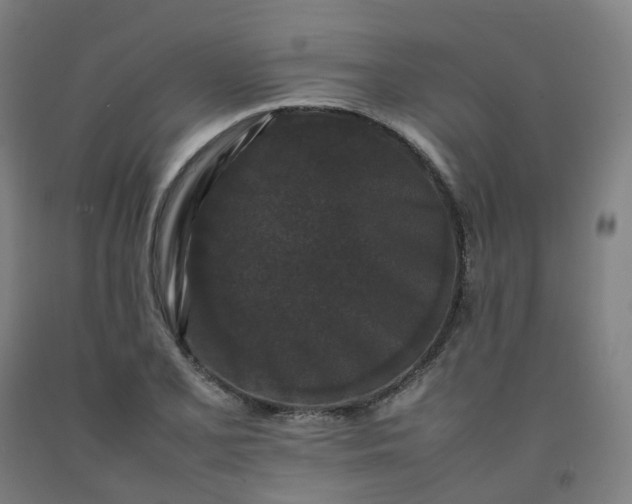 X0000092251077200709281139