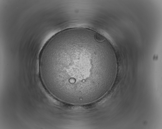 X0000092251079200709281139