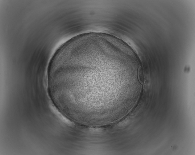 X0000092251080200709281139