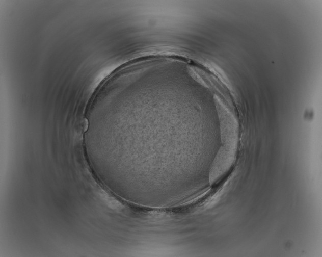 X0000092251081200709281139