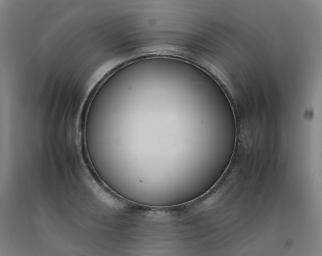 X0000092251082200709281139