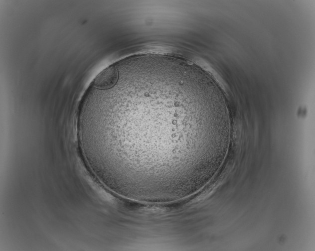 X0000092251083200709281139