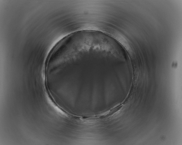 X0000092251084200709281139