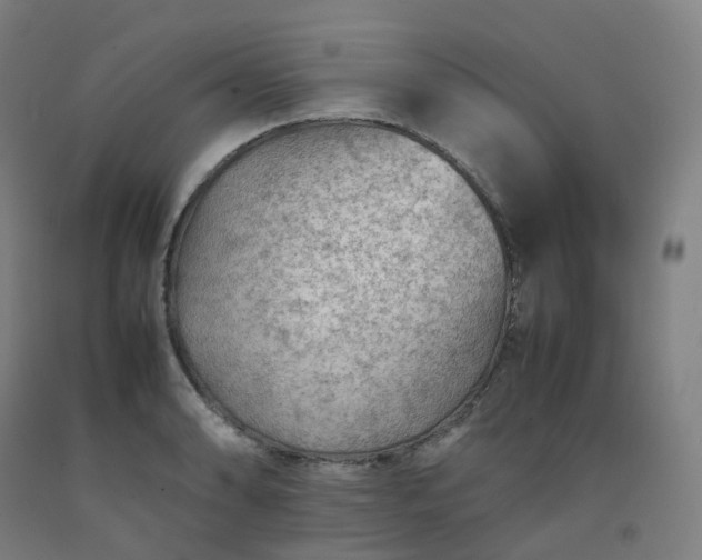 X0000092251086200709281139