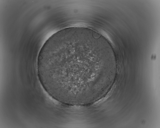 X0000092251087200709281139